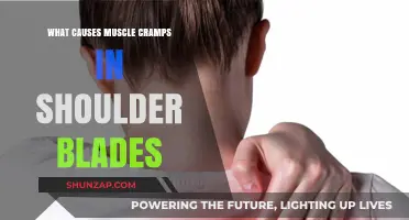Understanding Shoulder Blade Muscle Cramps: Causes and Prevention Tips