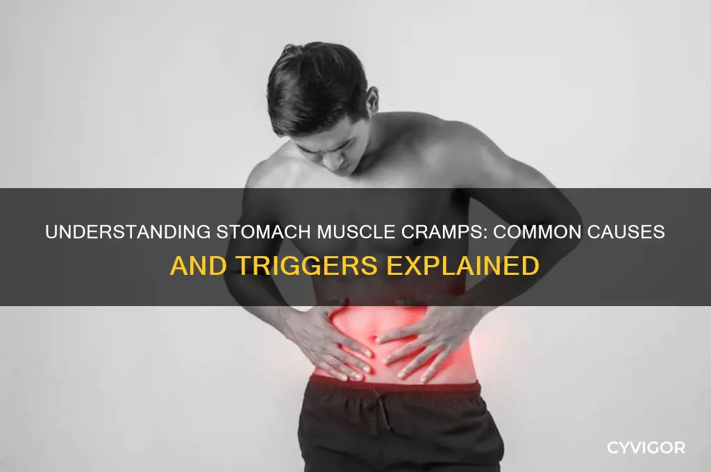 what causes muscle cramps in stomach area