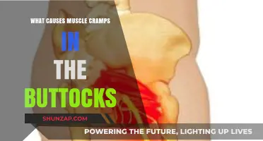 Understanding Buttock Muscle Cramps: Causes and Prevention Tips