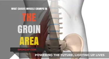 Understanding Groin Muscle Cramps: Causes and Prevention Tips