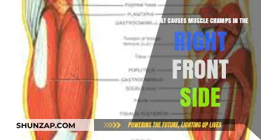 Understanding Muscle Cramps: Causes of Right Front Side Pain Explained