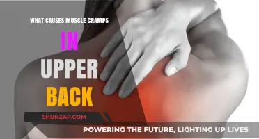 Understanding Upper Back Muscle Cramps: Causes and Prevention Tips