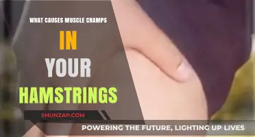 Understanding Hamstring Cramps: Causes and Prevention Strategies Explained