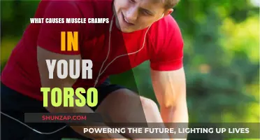 Understanding Torso Muscle Cramps: Causes and Prevention Strategies
