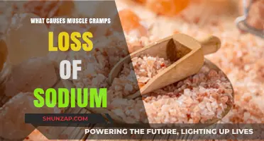 Understanding Muscle Cramps: The Role of Sodium Loss in Your Body