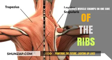Unraveling the Mystery: Causes of One-Sided Rib Muscle Cramps