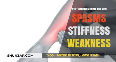 Understanding Muscle Cramps, Spasms, Stiffness, and Weakness: Causes Explained