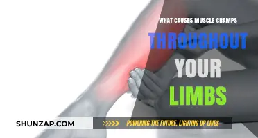 Unraveling the Mystery: What Causes Muscle Cramps in Limbs?