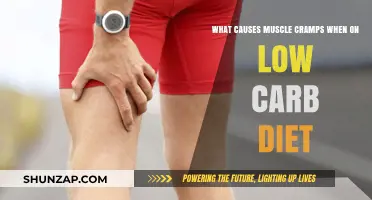 Low-Carb Diet Muscle Cramps: Causes and Prevention Strategies