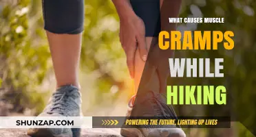 Understanding Muscle Cramps: Causes and Prevention During Hiking Adventures