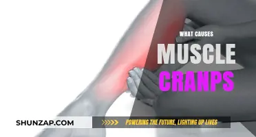 Unraveling Muscle Cramps: Causes, Triggers, and Prevention Strategies