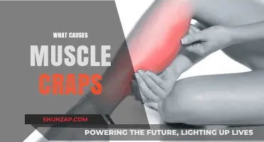 Unraveling Muscle Cramps: Causes, Triggers, and Prevention Strategies