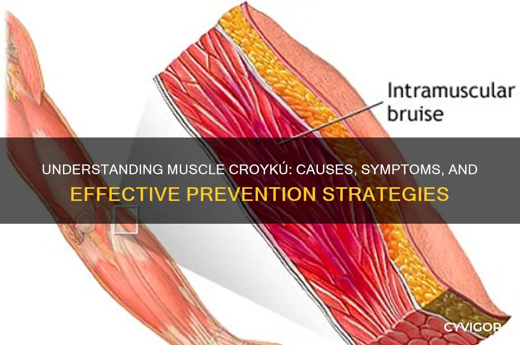 what causes muscle croykú