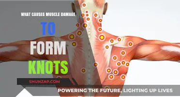 Understanding Muscle Knots: Causes of Damage and Tension Buildup