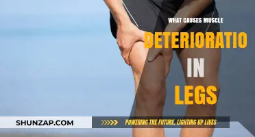Understanding Muscle Deterioration in Legs: Causes and Prevention Tips