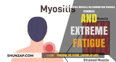 Unraveling Muscle Deterioration, Itchiness, and Fatigue: Causes and Insights