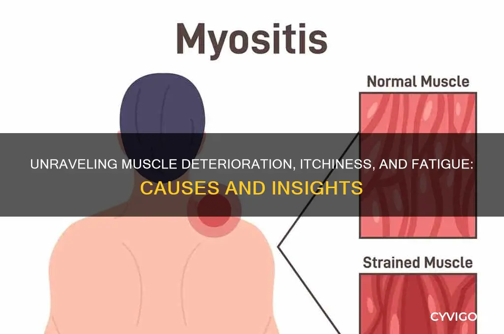 what causes muscle deterioration overall itchiness and extreme fatigue