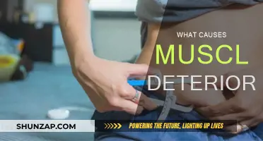 Understanding Muscle Loss: Causes and Prevention