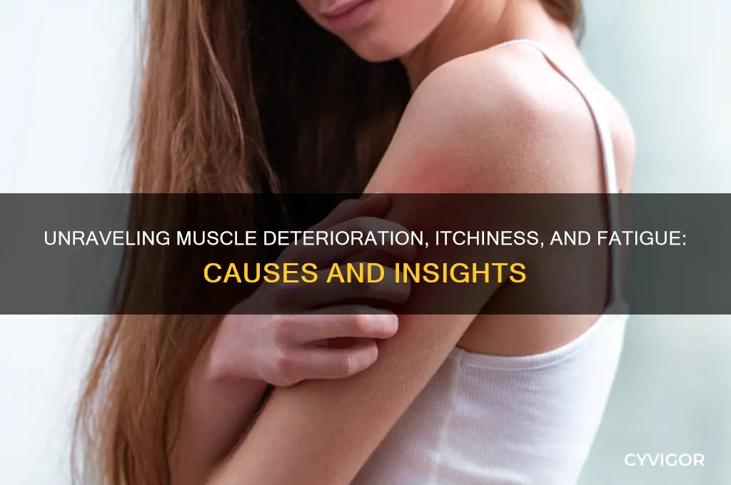 what causes muscle deteritation overall itchiness and extreme fatigue