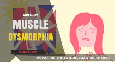 Unraveling Muscle Dysmorphia: Causes, Triggers, and Psychological Factors Explained