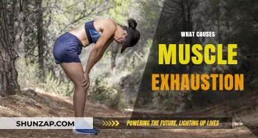 Unraveling Muscle Exhaustion: Causes, Prevention, and Recovery Strategies