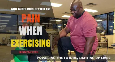 Understanding Muscle Fatigue and Pain During Exercise: Causes Explained