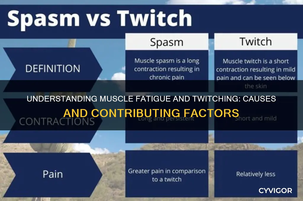what causes muscle fatigue and twitching