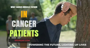 Understanding Muscle Fatigue in Cancer Patients: Causes and Impact