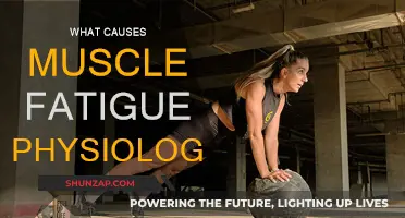 Understanding Muscle Fatigue: Causes and Physiology