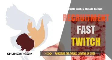 Understanding Muscle Fatigue: Fast-Twitch Recruitment Causes and Solutions