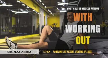 Understanding Muscle Fatigue: Causes and Prevention During Workouts
