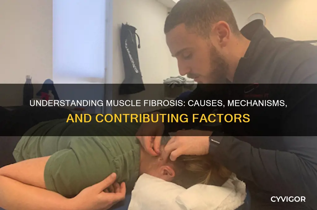 what causes muscle fibrosis