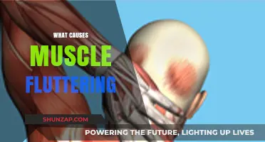 Understanding Muscle Fluttering: Causes, Triggers, and When to Seek Help