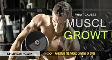 Unlocking Muscle Growth: The Science of Hypertrophy