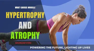 Muscle Growth and Loss: Understanding Hypertrophy and Atrophy Causes