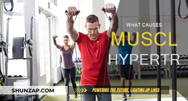 Muscle Hypertrophy: Unlocking the Science of Muscle Growth