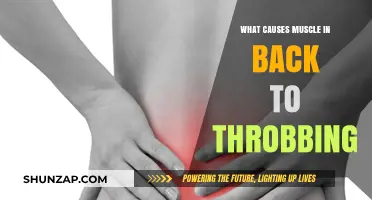 Understanding the Causes of Throbbing Back Muscle Pain and Relief