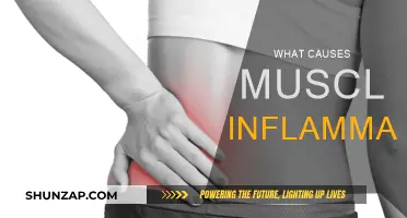 Muscle Inflammation: Causes and Triggers Explained