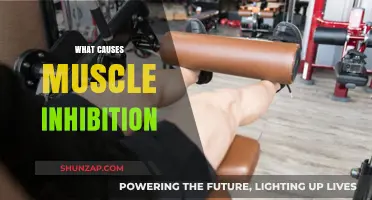 Understanding Muscle Inhibition: Causes, Mechanisms, and Impact on Performance