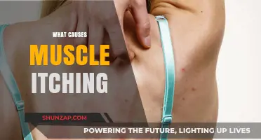 Understanding Muscle Itching: Causes, Triggers, and Effective Relief Strategies