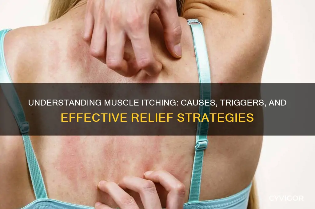what causes muscle itching