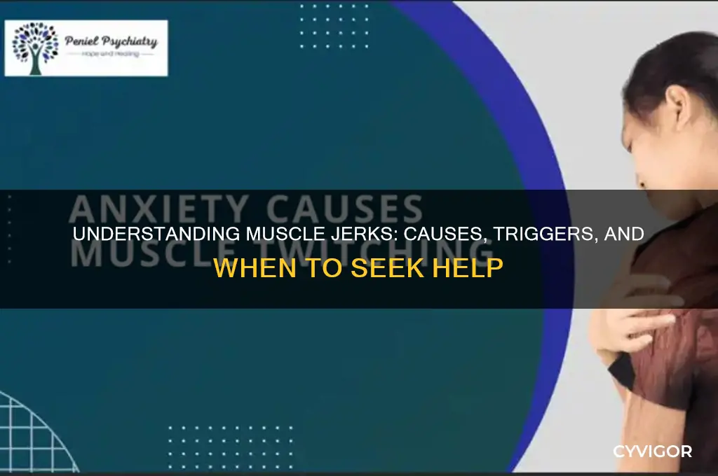 what causes muscle jerks
