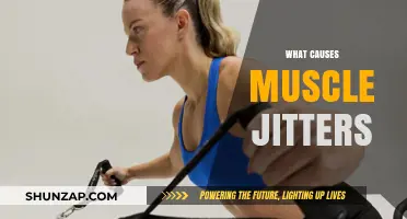 Unraveling Muscle Jitters: Causes, Triggers, and Effective Remedies Explained