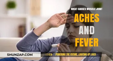 Understanding Muscle Joint Aches and Fever: Common Causes and Remedies
