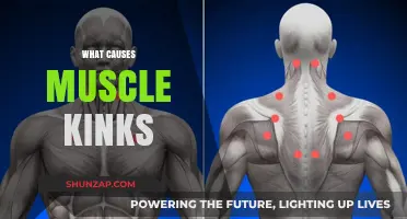 Unraveling Muscle Kinks: Causes, Prevention, and Effective Relief Strategies