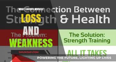 Understanding Muscle Loss and Weakness: Causes and Contributing Factors