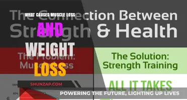 Unraveling Muscle Loss and Weight Loss: Causes and Prevention Strategies