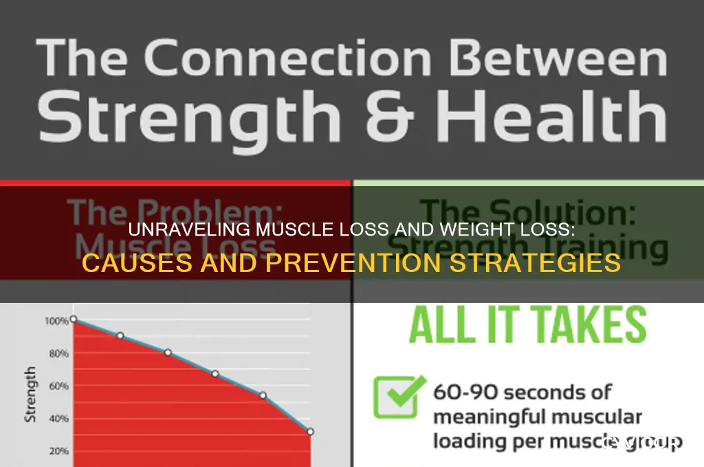 what causes muscle loss and weight loss