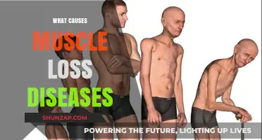Understanding Muscle Loss Diseases: Causes, Risk Factors, and Prevention Tips