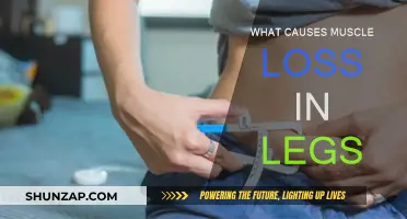 Understanding Leg Muscle Loss: Causes and Prevention